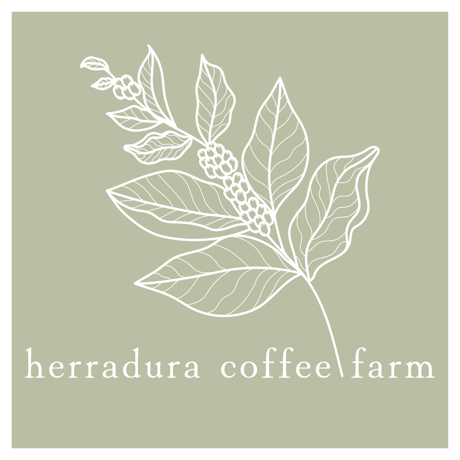 Herradura Coffee Farm