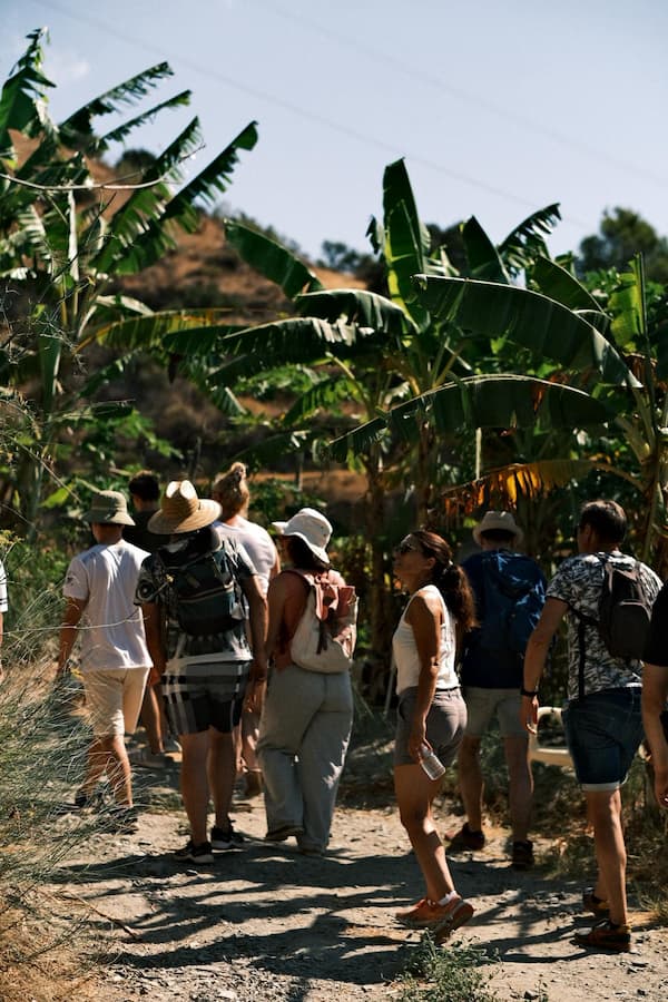 Herradura coffee plantation